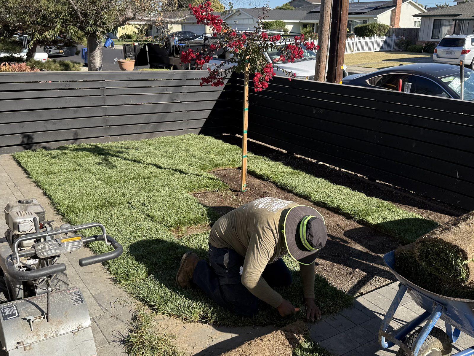Rolls of fresh sod being laid into a front yard alongside a new dark horizontal fence